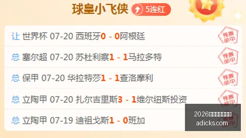2026世界杯下注平台 114645 04